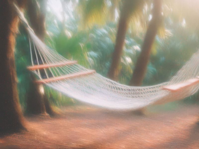 hammock